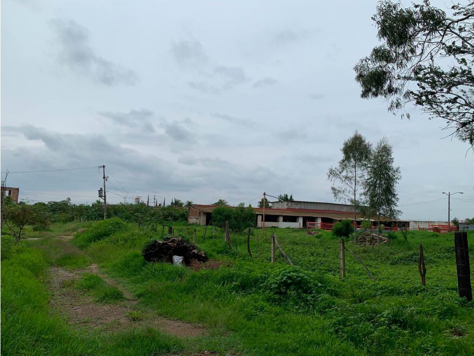 Terreno en Zapopan - 6