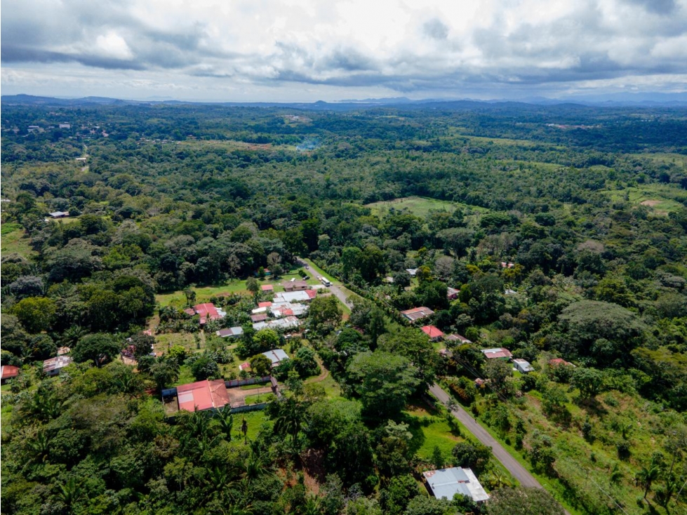 Se vende lote en Nuevo Emperador - 2