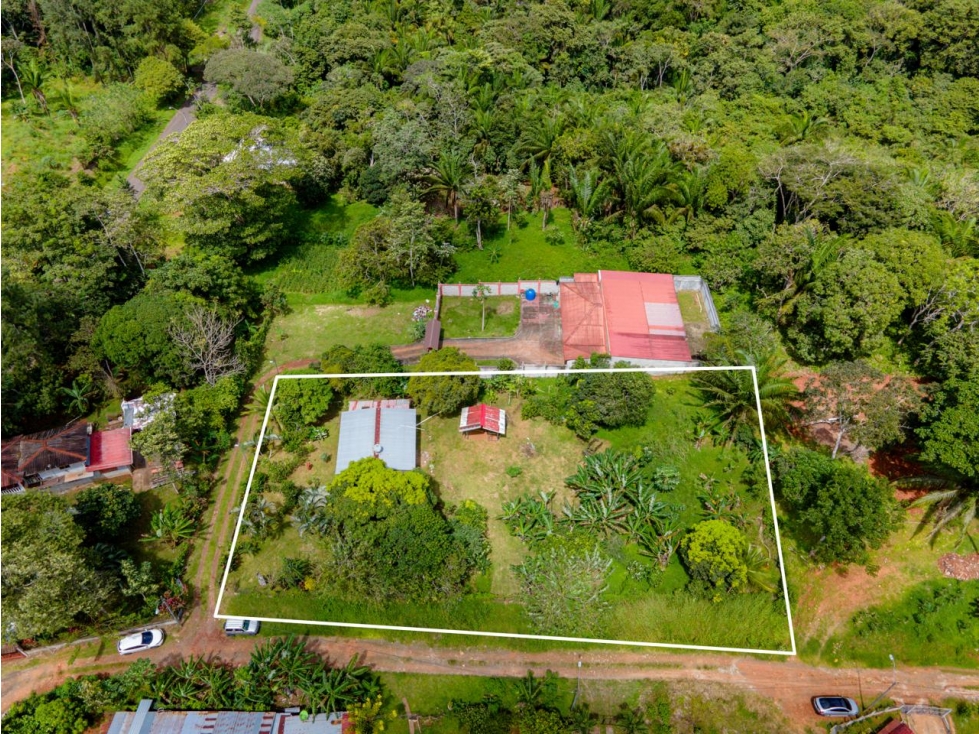 Se vende lote en Nuevo Emperador - 6