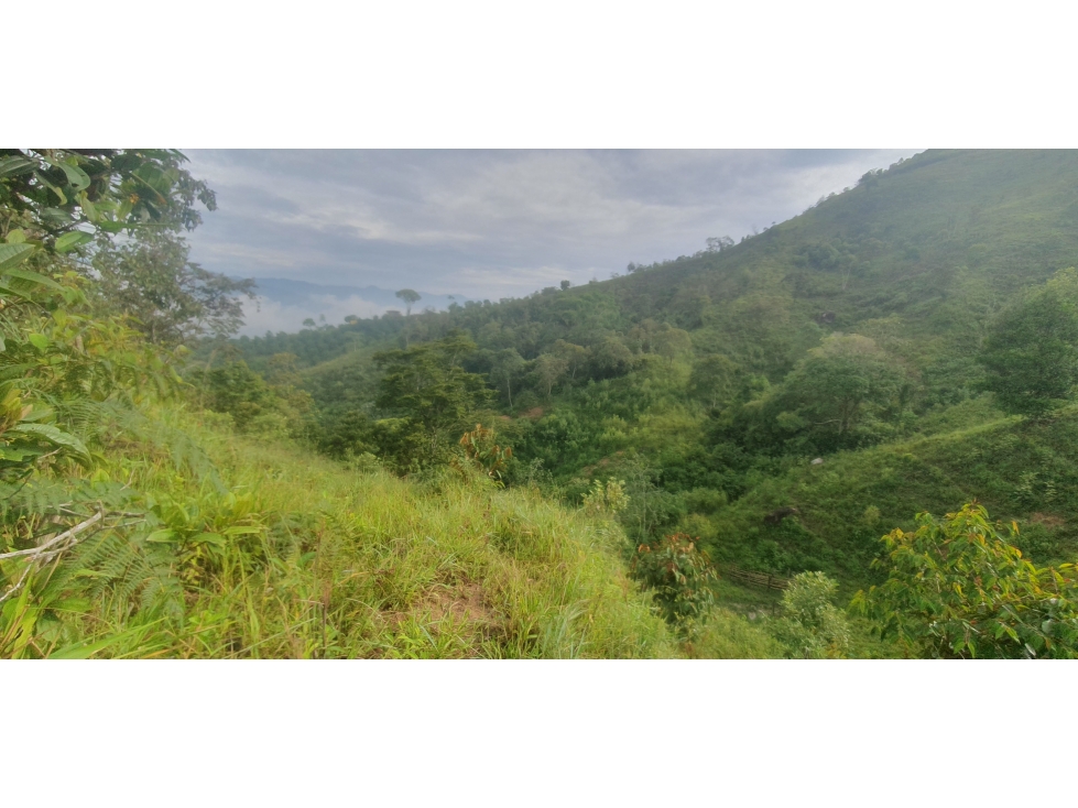 EN VENTA LOTE LISTO PARA PARCELAR EN LA VEREDA VAINILLAL BARBOSA — foto 2