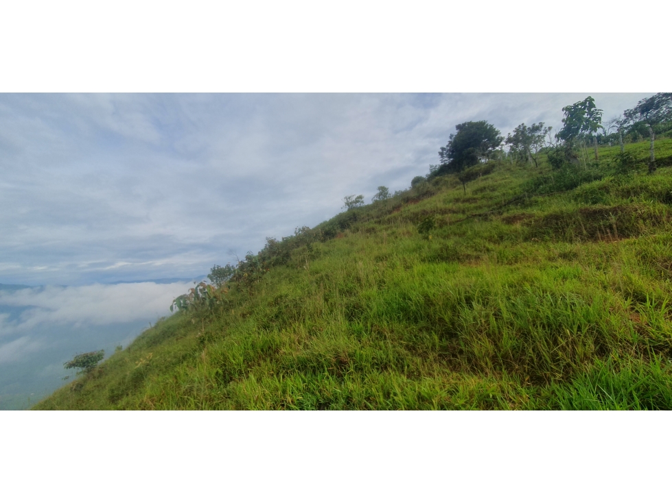 EN VENTA LOTE LISTO PARA PARCELAR EN LA VEREDA VAINILLAL BARBOSA — foto 3