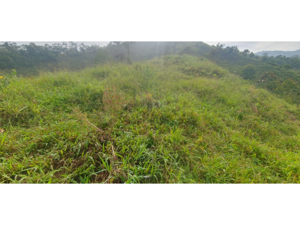 EN VENTA LOTE LISTO PARA PARCELAR EN LA VEREDA VAINILLAL BARBOSA — foto 5