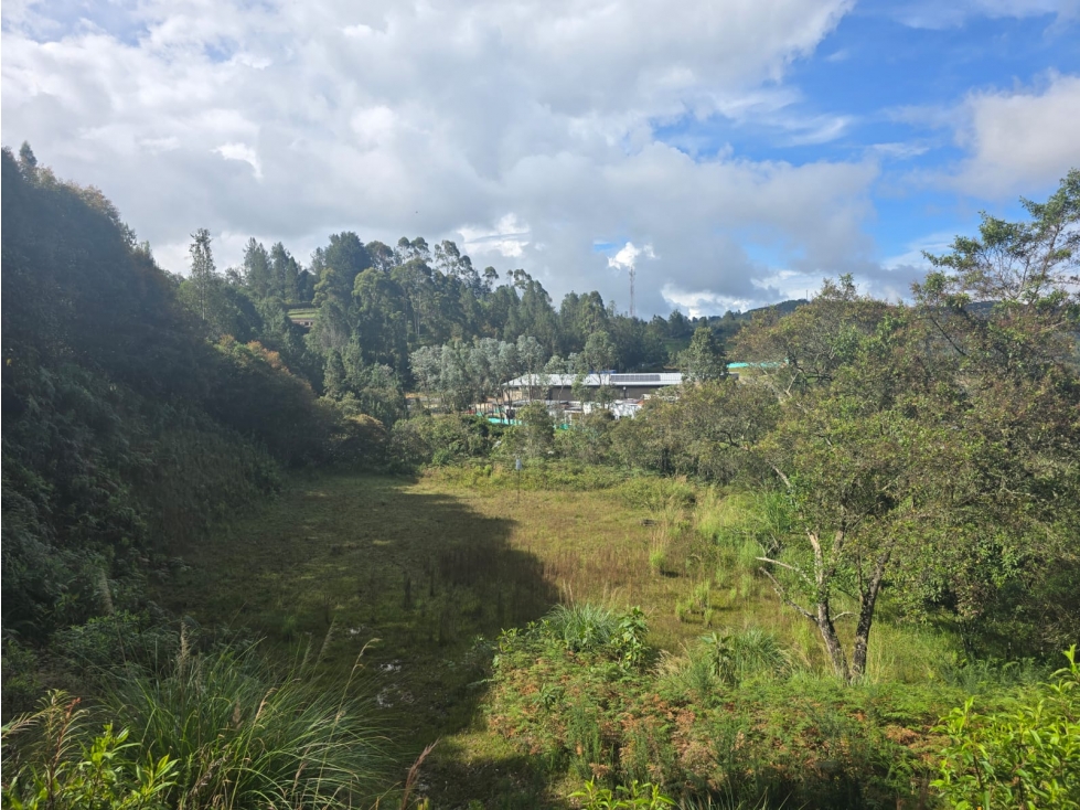 Lote de 10.000 m² en El Escobero, unidad cerrada con gran vista