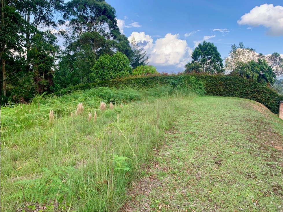 LOTE EN VENTA LA CEJA VÍA SAN ANTONIO (2.500 m²) 