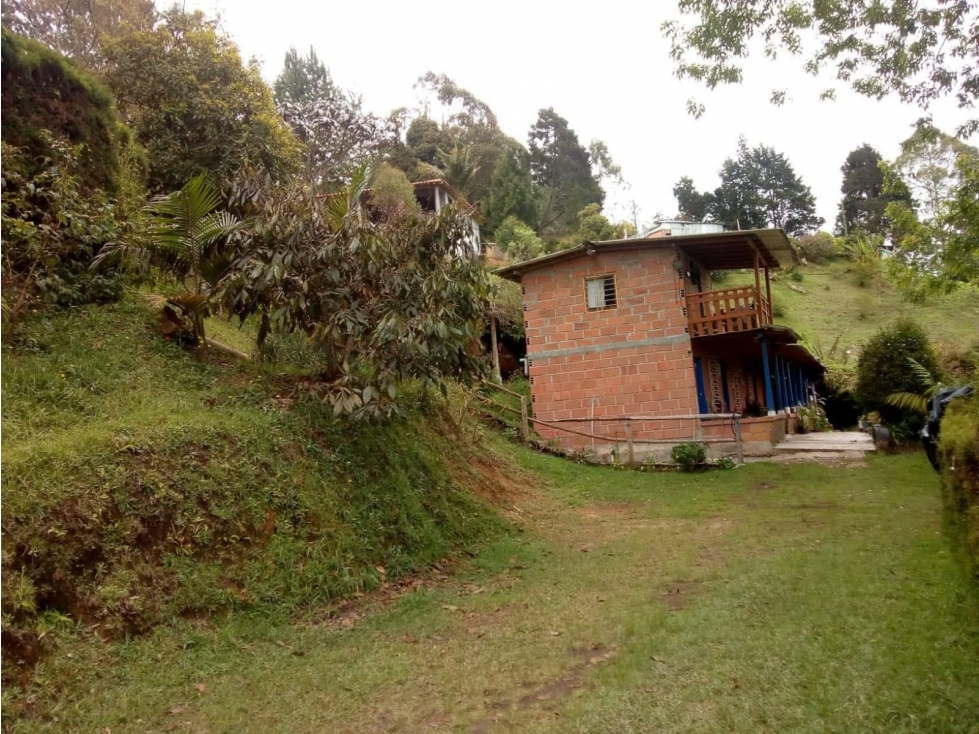 Finca en Guarne - Vereda El Sango | Naturaleza y excelente ubicación — foto 3