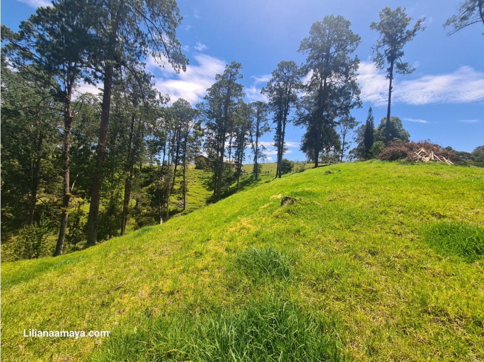 Lote en Venta en La Ceja Vista Panorámica de 360 Grados — foto 4
