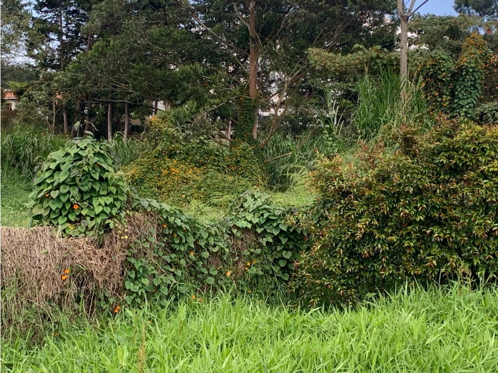 Lote Urbanizado en Venta - Vía San Antonio, La Ceja — foto 2