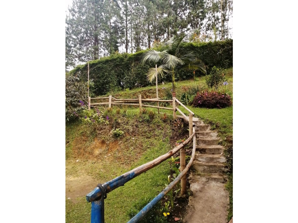Finca en Guarne - Vereda El Sango | Naturaleza y excelente ubicación — foto 6