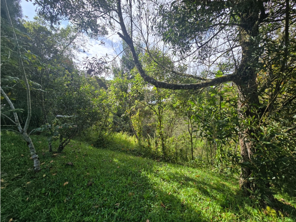 Lote de 10.000 m² en El Escobero, unidad cerrada con gran vista — foto 3