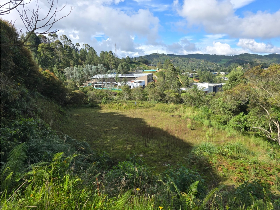 Lote de 10.000 m² en El Escobero, unidad cerrada con gran vista — foto 4