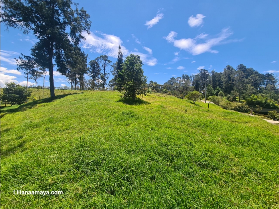 Lote en Venta en La Ceja Vista Panorámica de 360 Grados — foto 5