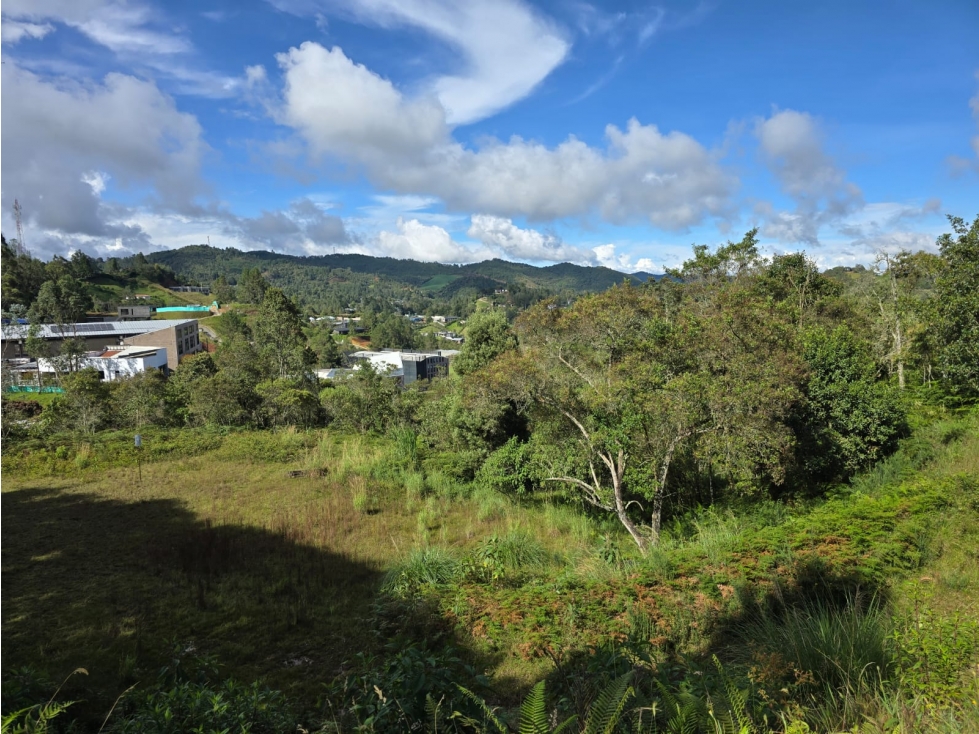 Lote de 10.000 m² en El Escobero, unidad cerrada con gran vista — foto 5