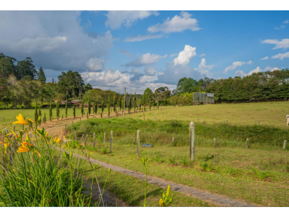 Lotes campestres en venta en Cabeceras, Rionegro | Desde 1.100 m² - 5