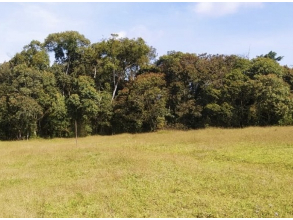 Lote en proyecto campestre vía La Ceja San Antonio. ¡Imperdible!
