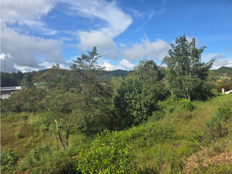 Lote de 10.000 m² en El Escobero, unidad cerrada con gran vista — foto 6