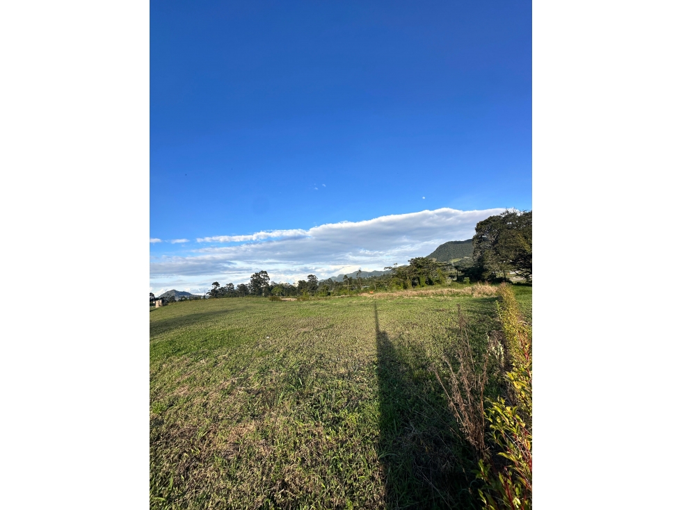 ¡Lote exclusivo en El Tambo / La Ceja!
