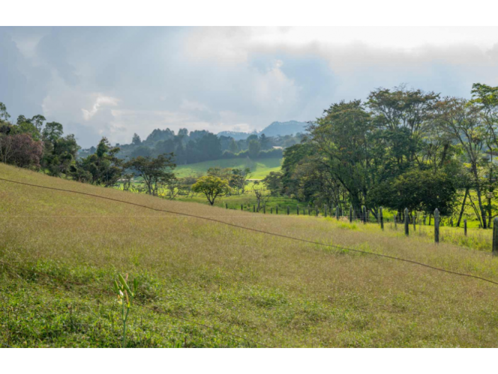 Lotes campestres en venta en Cabeceras, Rionegro | Desde 1.100 m² - 6