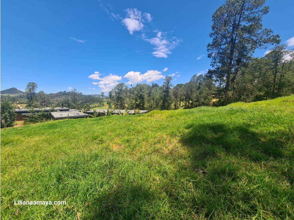 Lote en Venta en La Ceja Vista Panorámica de 360 Grados — foto 6