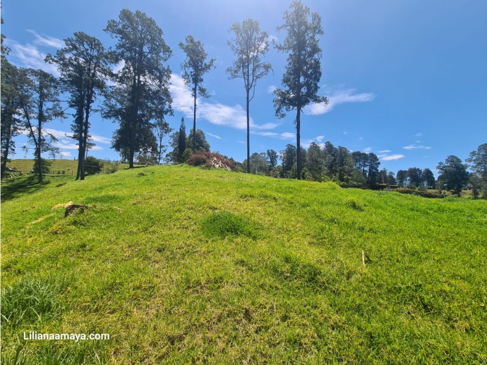 Lote en Venta en La Ceja Vista Panorámica de 360 Grados — foto 3