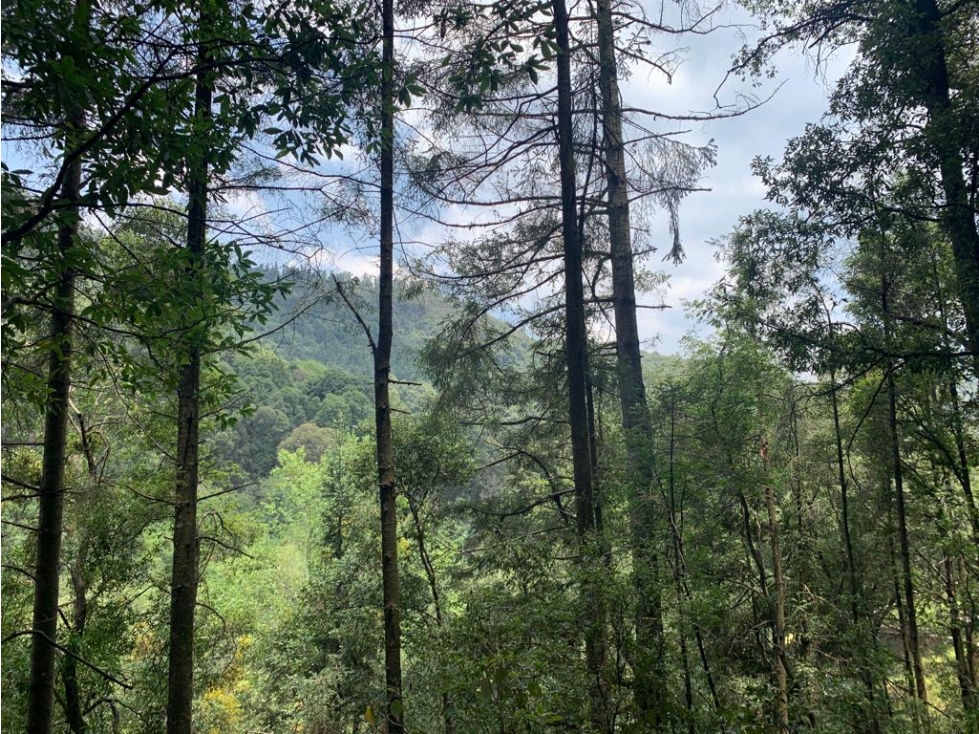 TERRENO EN VENTA - SAN LUIS AYUCAN - JILOTZINGO - 2