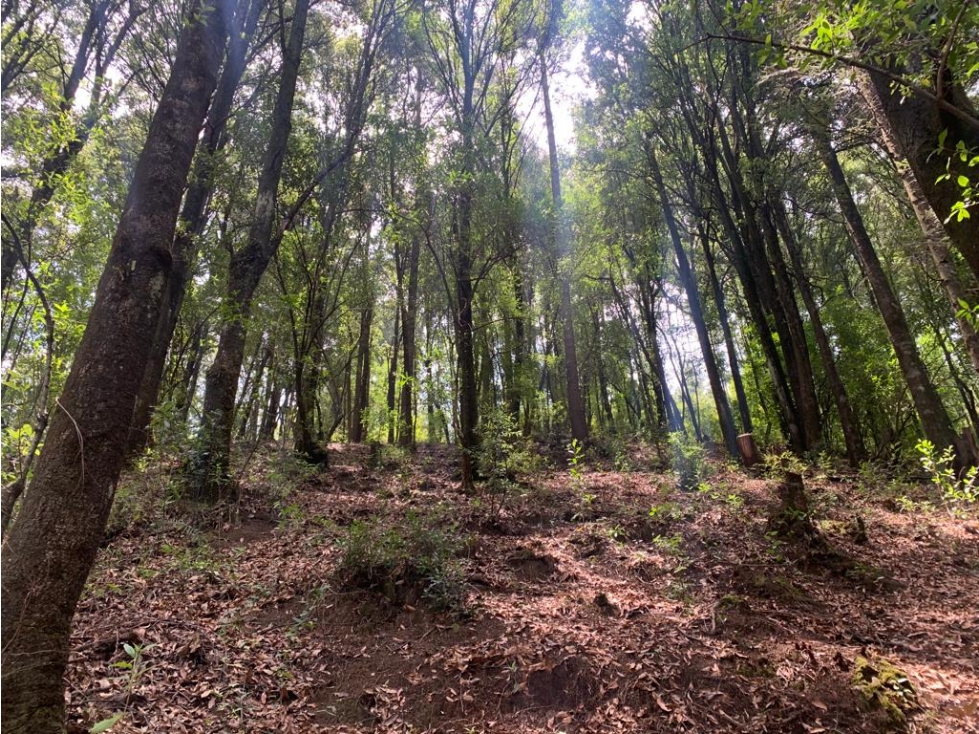 TERRENO EN VENTA - SAN LUIS AYUCAN - JILOTZINGO - 5