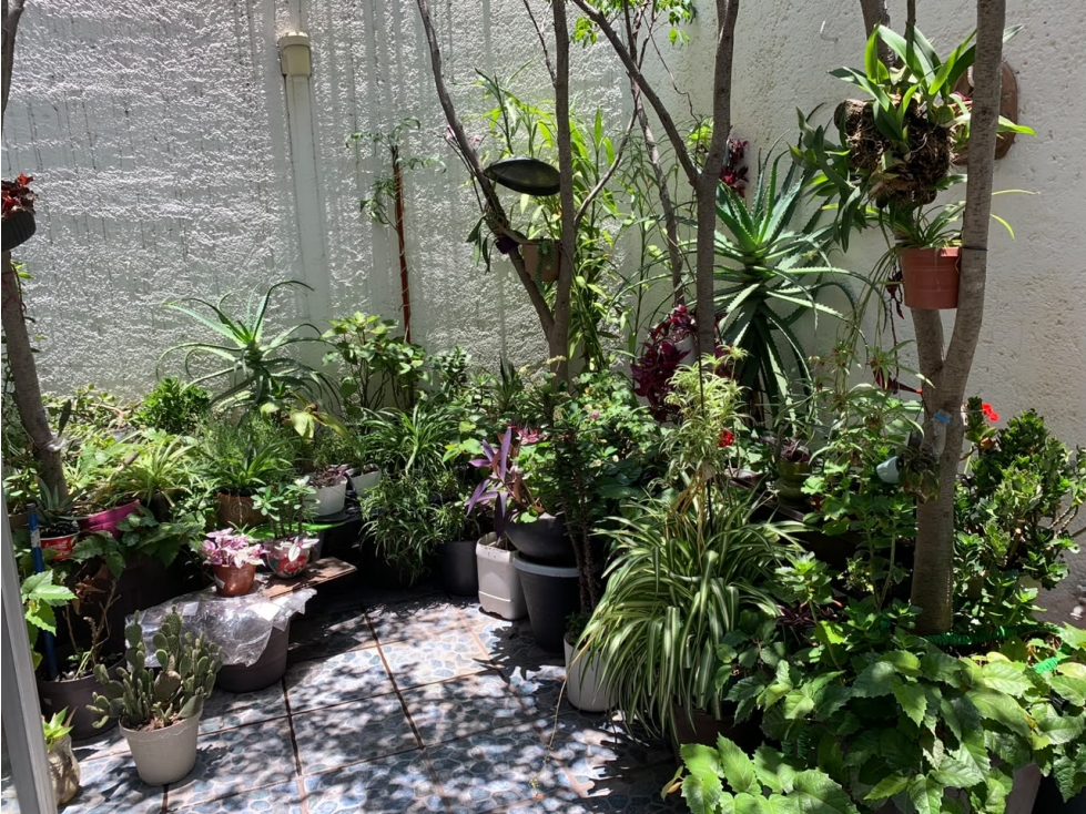 CASA EN VENTA - BOSQUE DE ECHEGARAY — foto 6