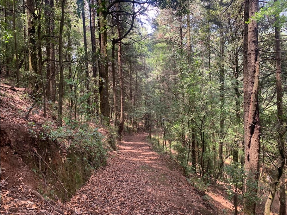 TERRENO EN VENTA - SAN LUIS AYUCAN - JILOTZINGO - 3