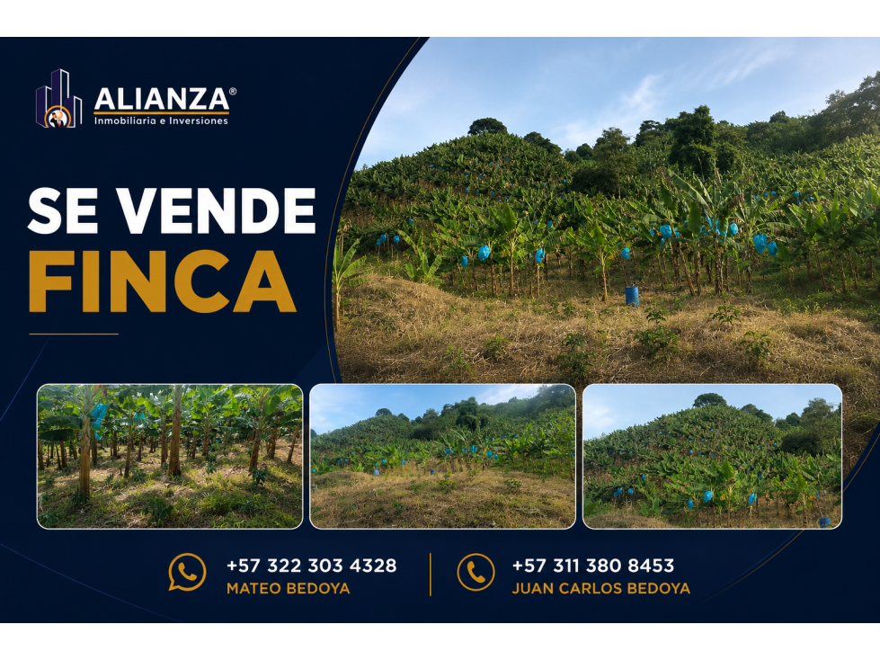 VENTA DE FINCA EN RISARALDA - CALDAS - 1