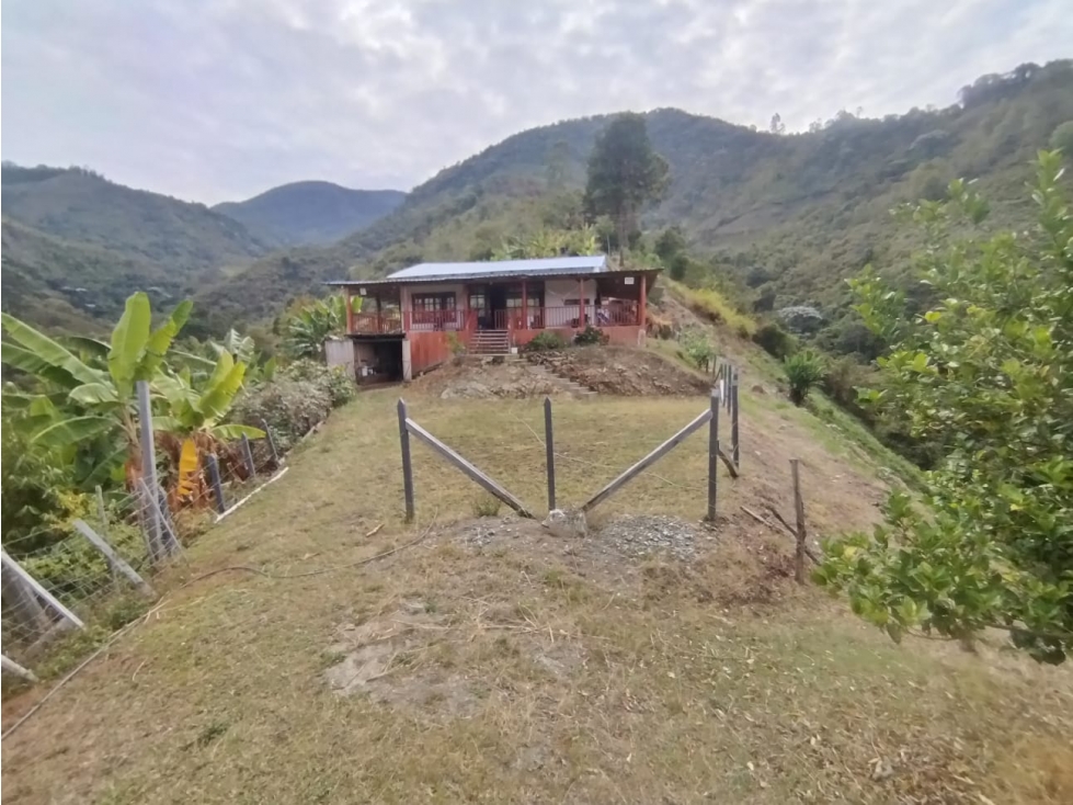 Venta de Finca Cafetera y Productiva Ubicada en Ginebra, Valle - 6