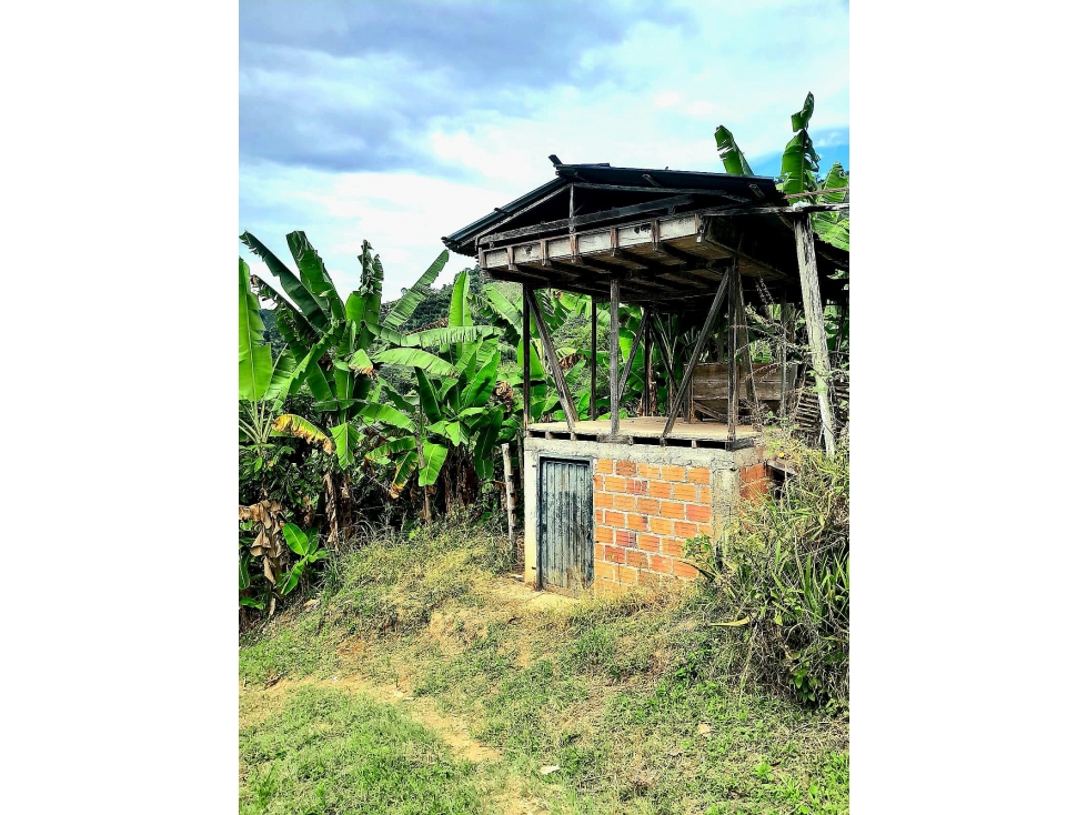 VENTA DE FINCA EN BALBOA RISARALDA - 2