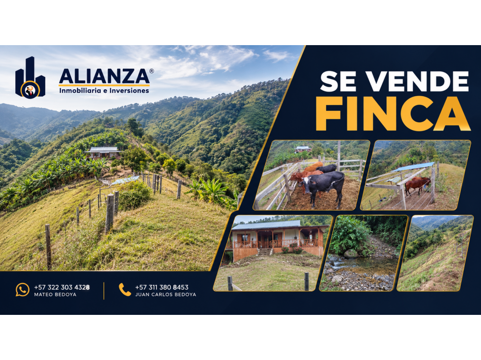 Venta de Finca Cafetera y Productiva Ubicada en Ginebra, Valle - 1