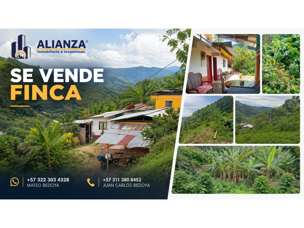 Venta de Finca Cafetera Ubicada en Vereda Cocohondo, Balboa - 1