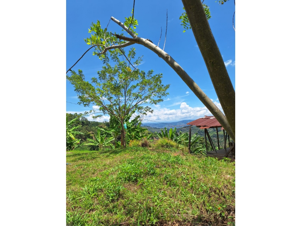 VENTA DE FINCA EN BALBOA RISARALDA - 1