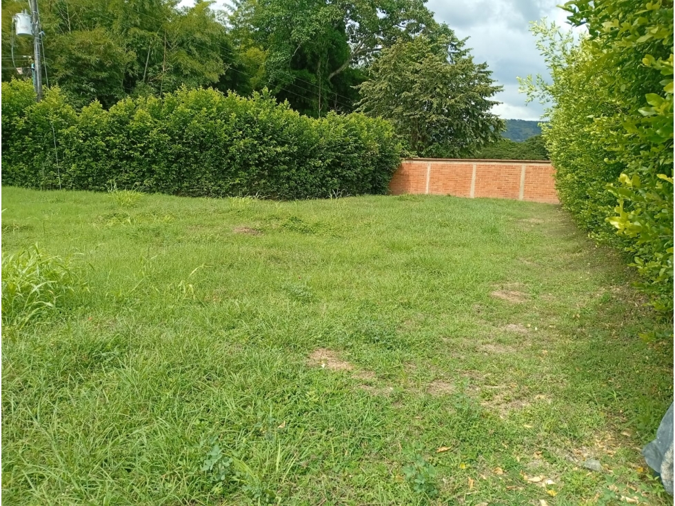 Venta Lote en Parcelación Campestre - Zaragoza (Valle) - 4