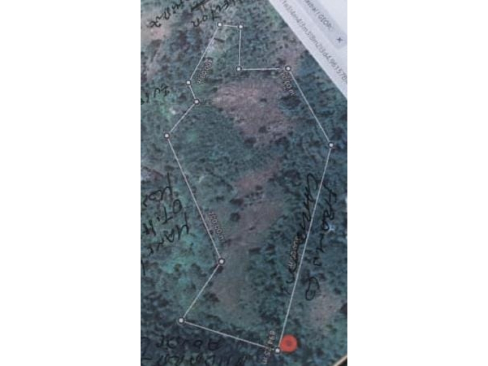 VENTA DE FINCA EN BALBOA RISARALDA - 4