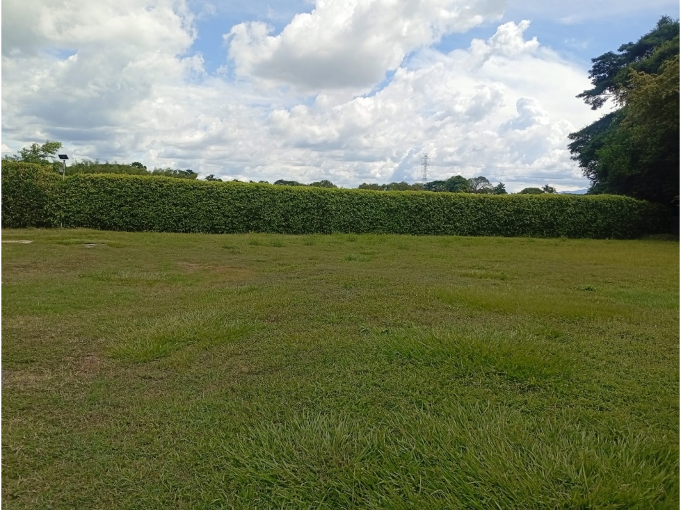 Venta Lote en Parcelación Campestre - Zaragoza (Valle) - 5