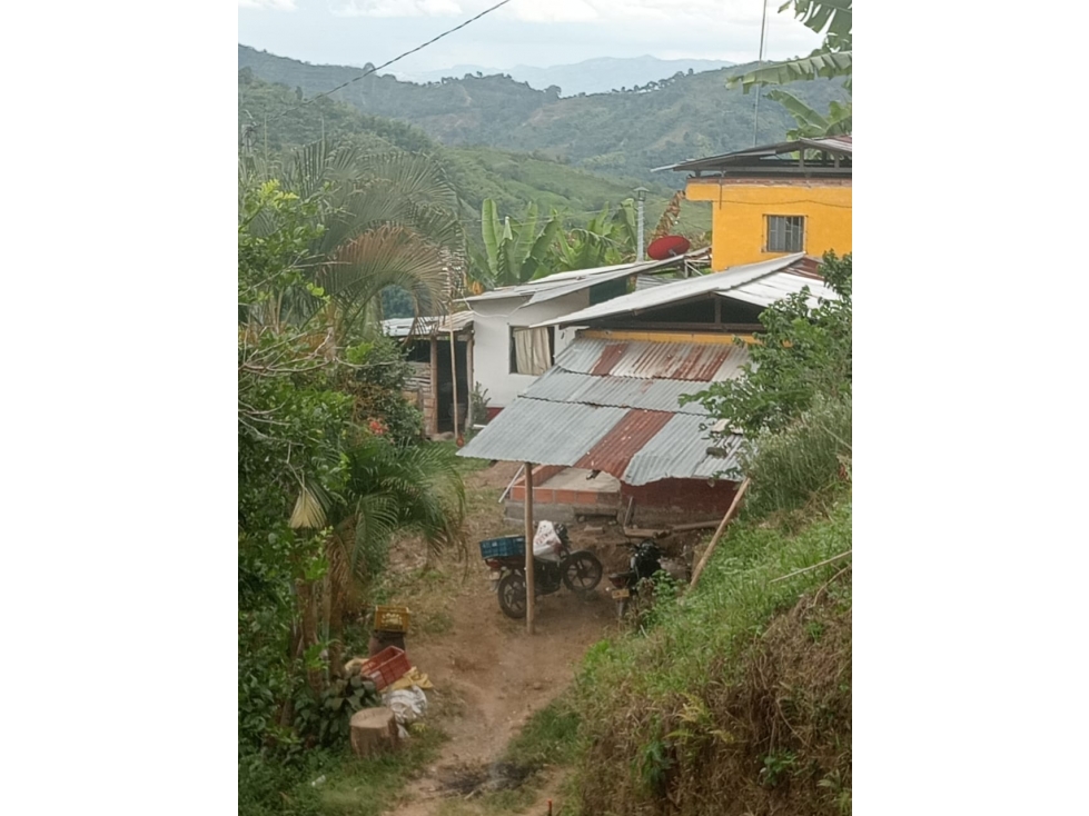 Venta de Finca Cafetera Ubicada en Vereda Cocohondo, Balboa - 3