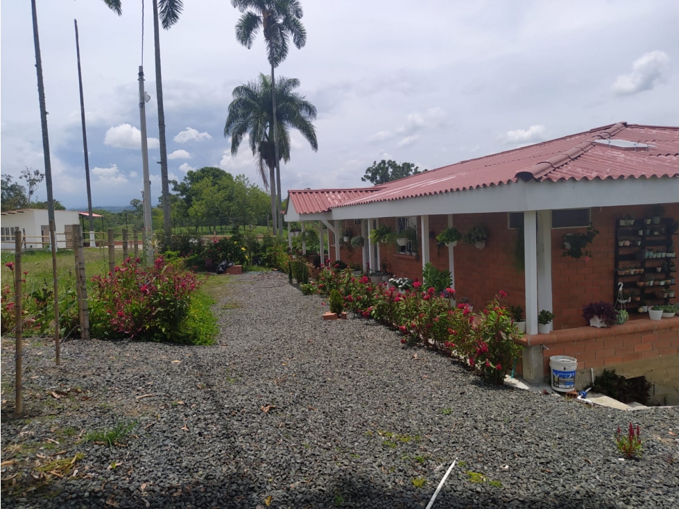 Venta de Casa Campestre vía Pereira - Alcalá - 3