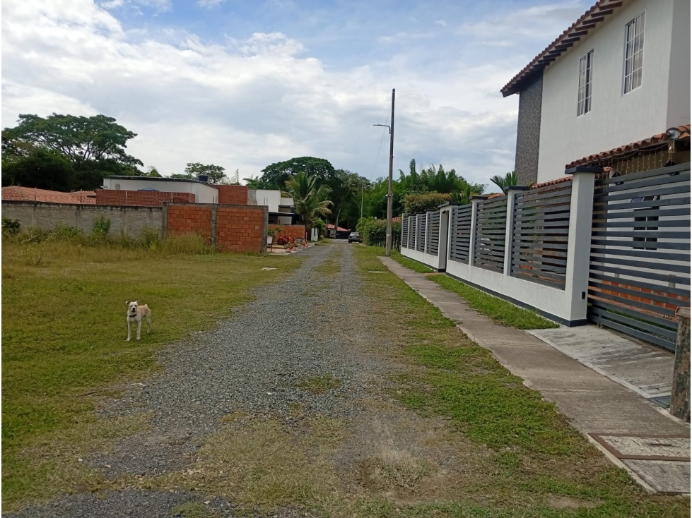 Venta Lote en Parcelación Campestre - Zaragoza (Valle) - 2