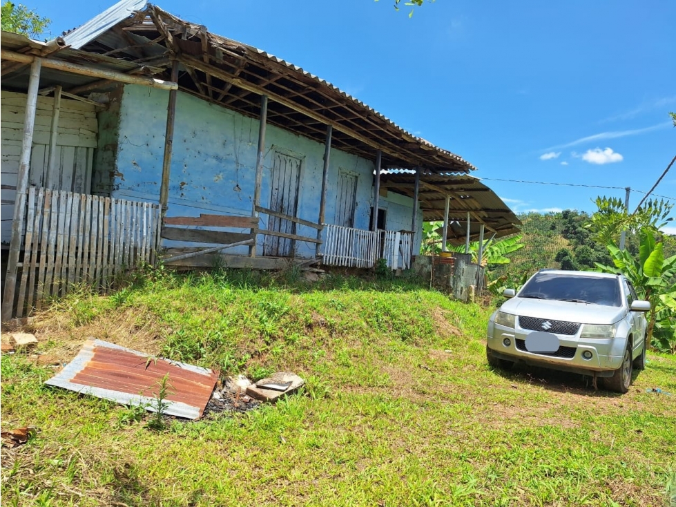 VENTA DE FINCA EN BALBOA RISARALDA - 5