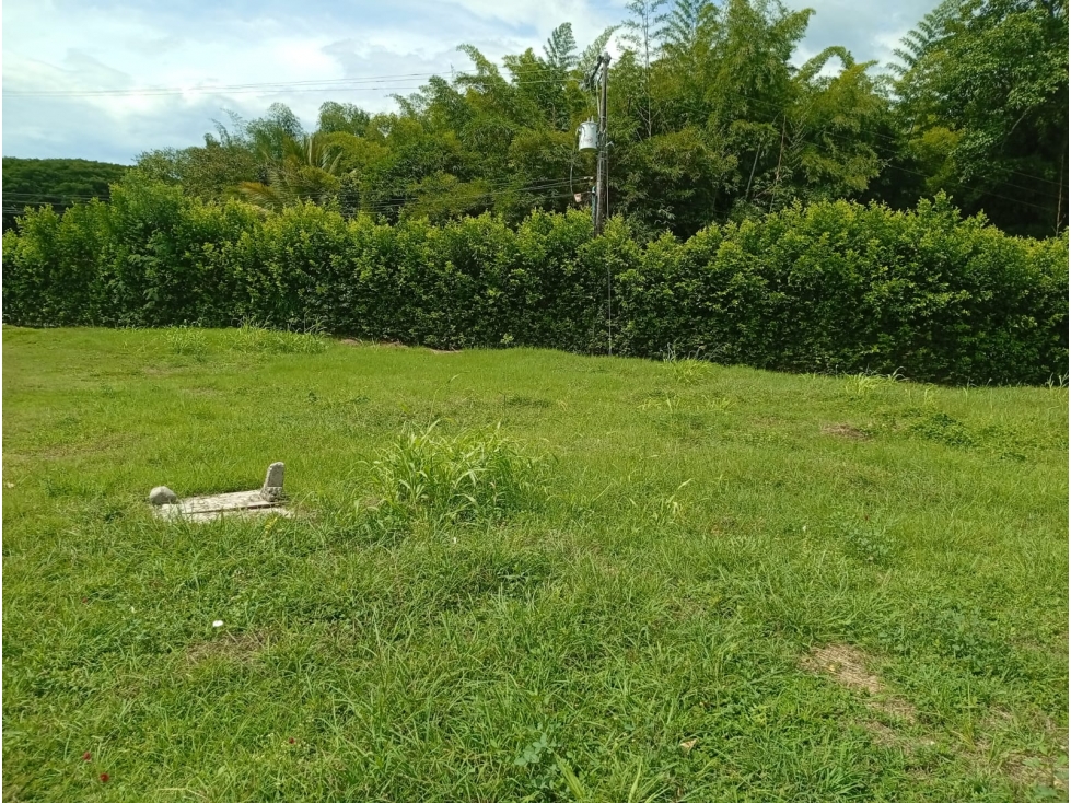 Venta Lote en Parcelación Campestre - Zaragoza (Valle) - 6