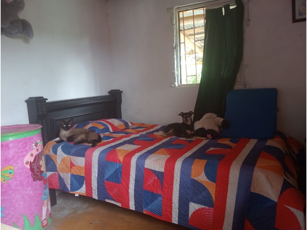 Venta de Finca Cafetera Ubicada en Vereda Cocohondo, Balboa - 5