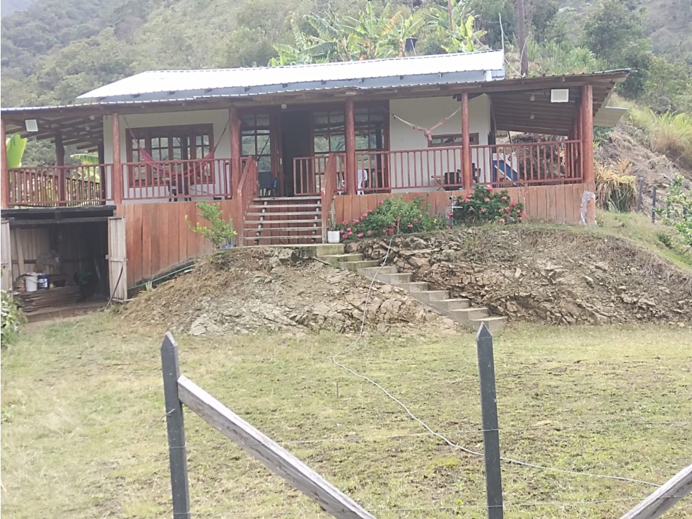 Venta de Finca Cafetera y Productiva Ubicada en Ginebra, Valle - 3