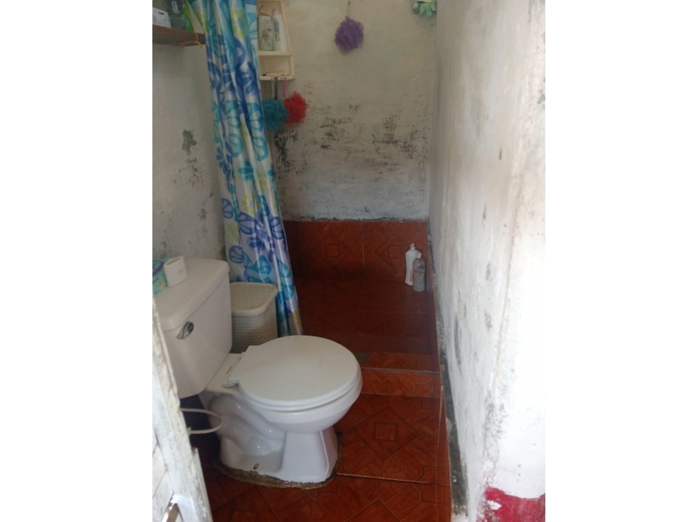 Venta de Finca Cafetera Ubicada en Vereda Cocohondo, Balboa - 6
