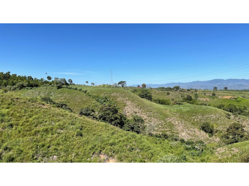 Venta de Lote Campestre - Vía Cerritos la Virginia - 5