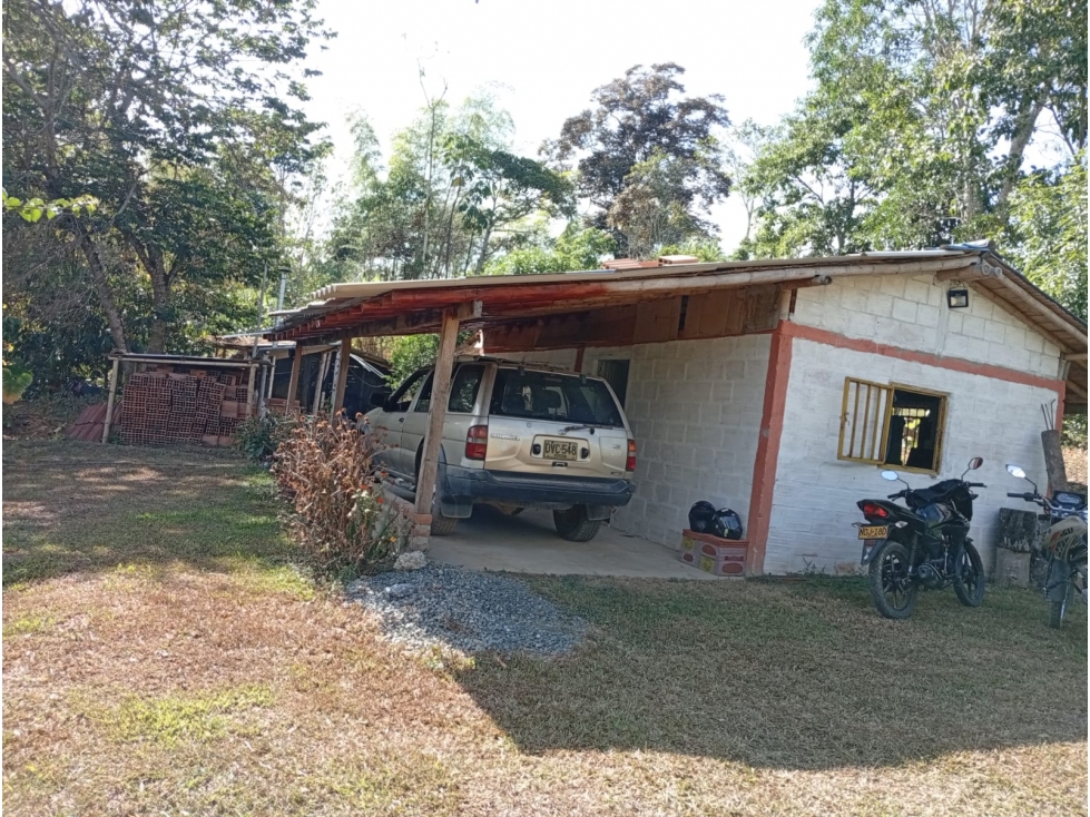 Venta de Finca en el Sector Coloradas — foto 2