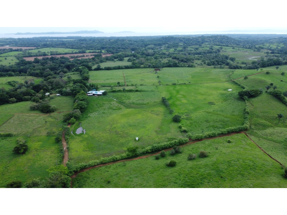 Venta de finca lechera en Montijo (Mariatos) GTA - 3