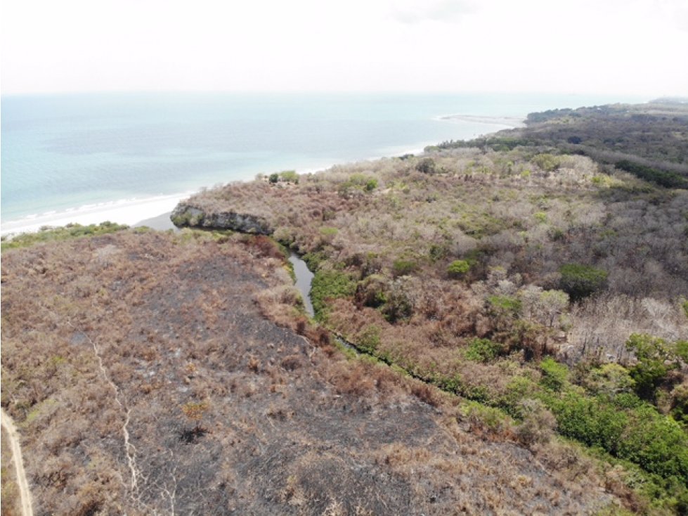 Venta de finca con frente de playa en San Carlos (El Higo) GTA - 2