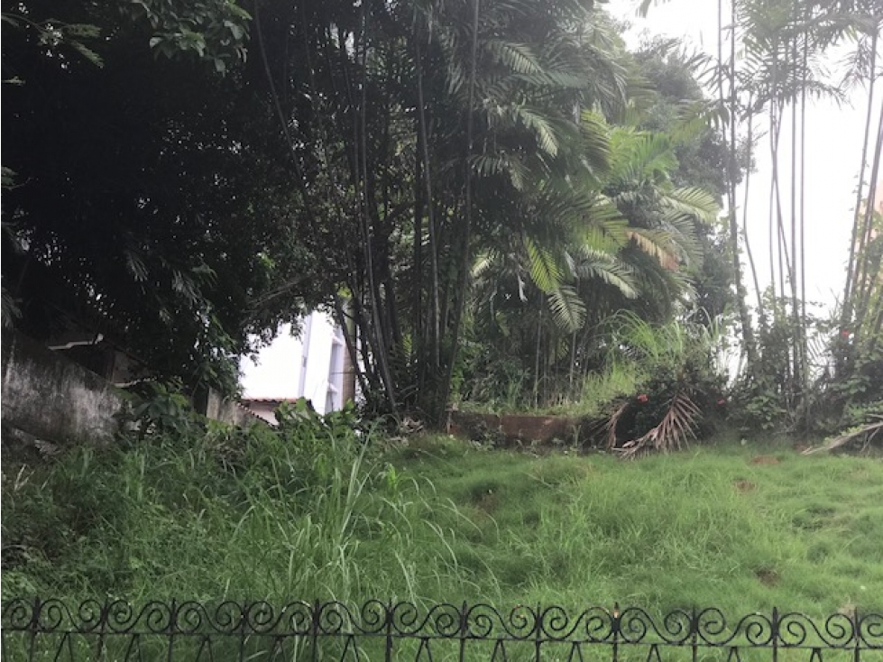 Venta de terreno en El Cangrejo GTA - 2