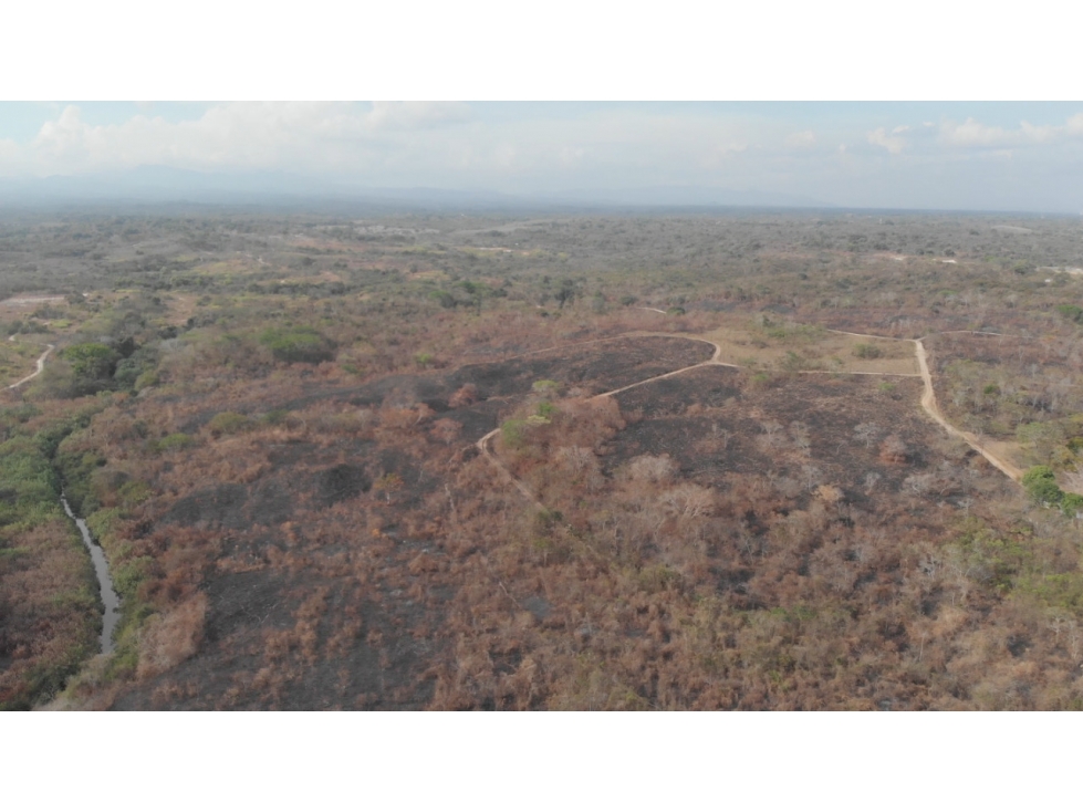 Venta de finca con frente de playa en San Carlos (El Higo) GTA - 3